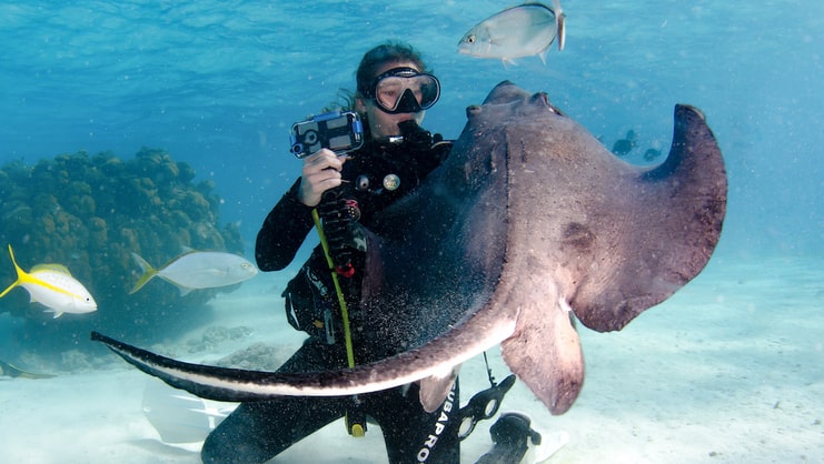 woman scuba diving with stingray