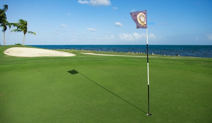 picture of golf course