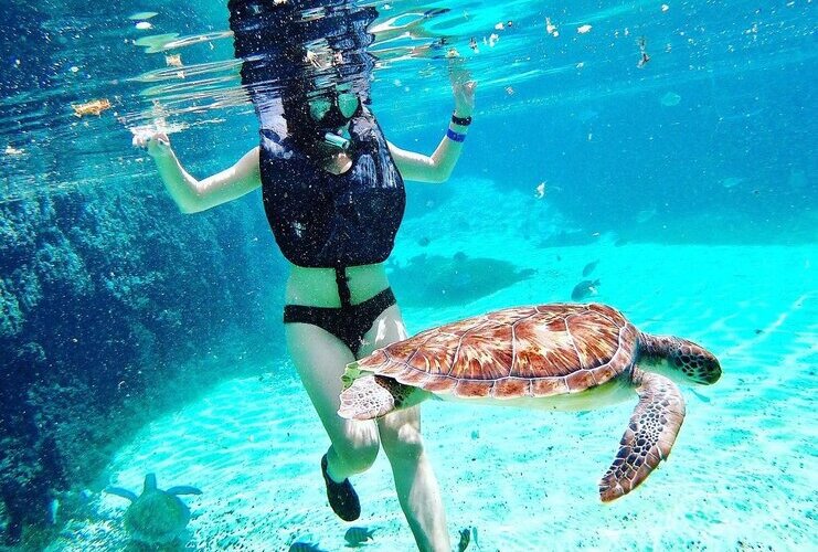 picture of women snorkeling with a turtle