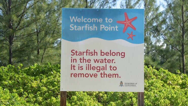 picture of sign saying that it is illegal to remove the starfish from the water