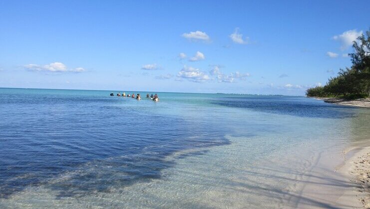 picture of people riding horses in the sea