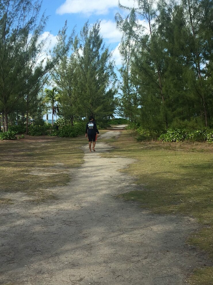 picture of person walking on grass to starfish point