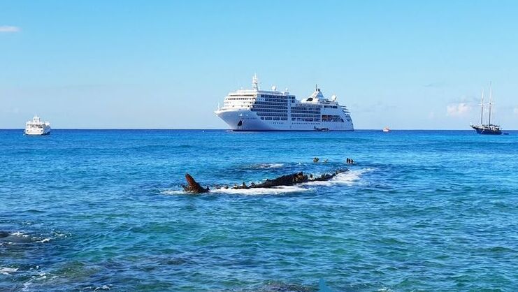 picture of wreck of the gamma with cruise ship in background
