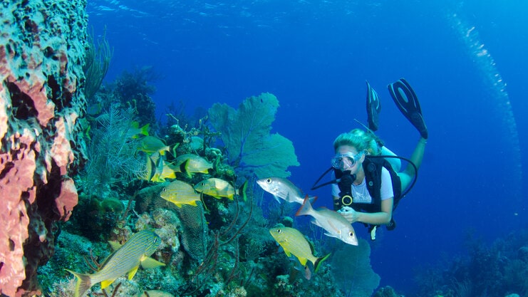 picture of woman diving next to coral