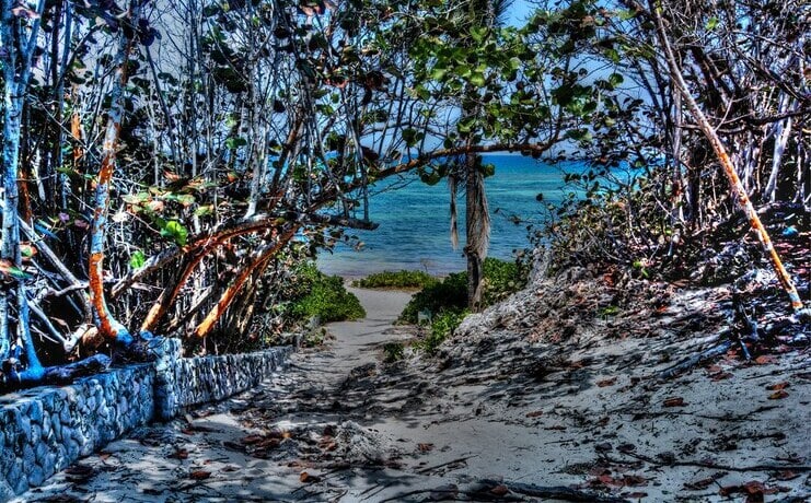 picture of path to enter barefoot beach