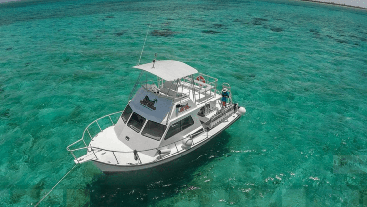 picture of boat in sea