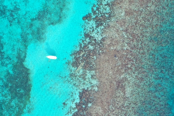 aerial image of boat at the barrier reef
